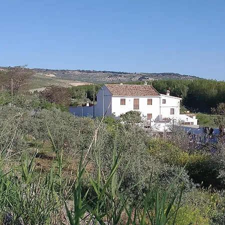 Gospodarstwo agroturystyczne Cortijo Mirasol Santa Cruz de Alhama